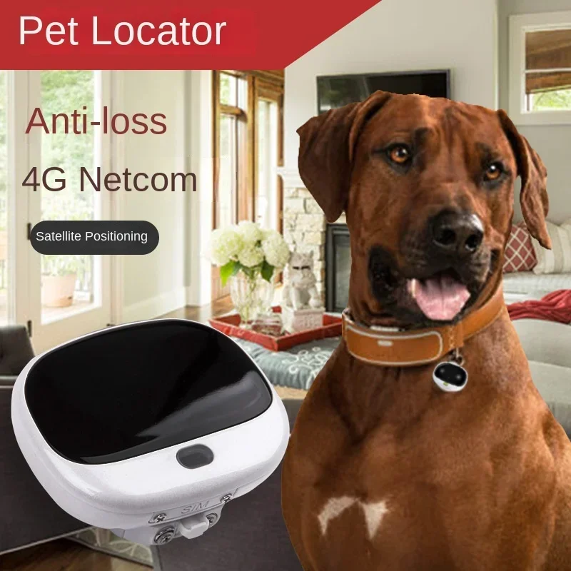 Pet Supplies Locations - Mini Localizzatore GPS 4G LTE 2G