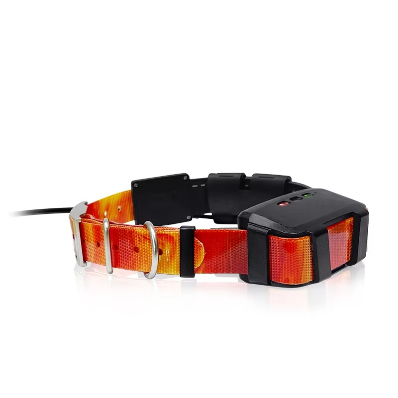 Collare GPS per Cani da Caccia - Pet Supplies Locations recensione e prezzo