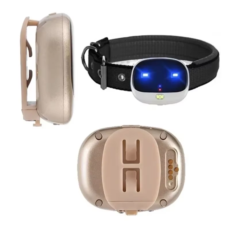 Mini localizzatore GPS 4G per  - Pet Supplies Locations recensione e prezzo