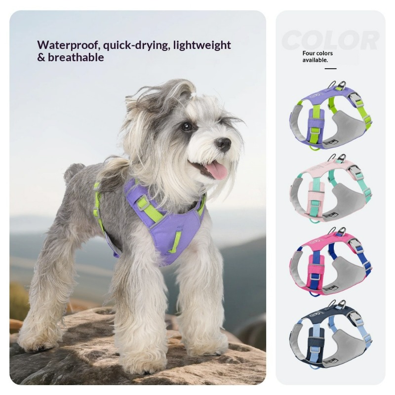 Nuova Pettorina Leggera per Ca - Pet Supplies Locations recensione e prezzo