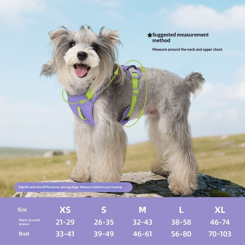 Nuova Pettorina Leggera per Ca - Pet Supplies Locations recensione e prezzo