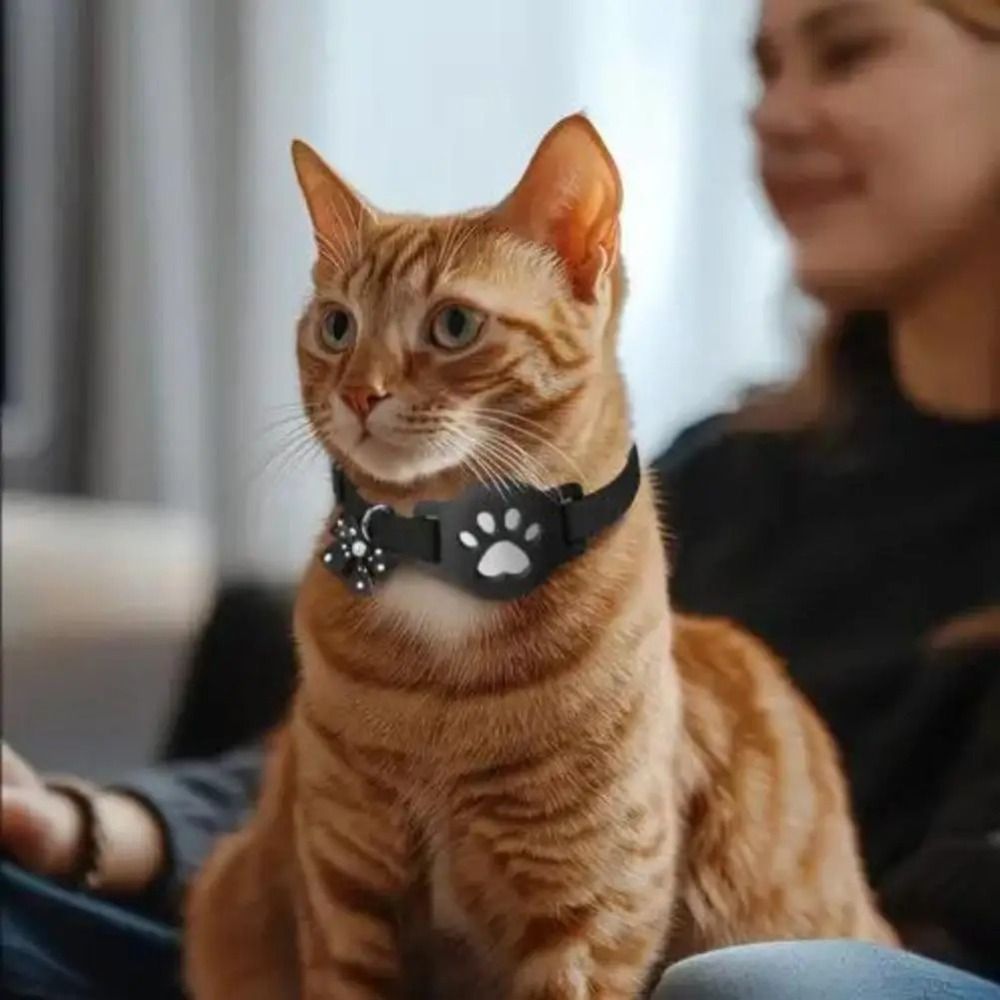 NUOVO Collare Riflettente per  - Pet Supplies Locations recensione e prezzo