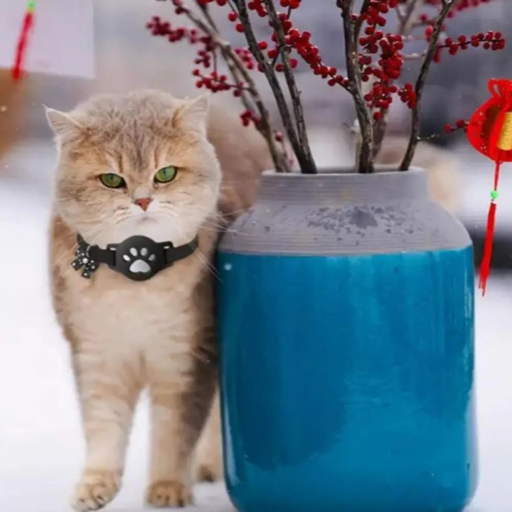 NUOVO Collare Riflettente per  - Pet Supplies Locations recensione e prezzo
