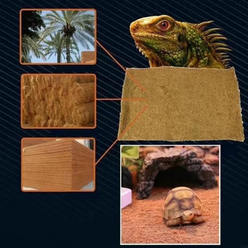 L74D Tappetino resistente e as - Cat Litter Mat recensione e prezzo