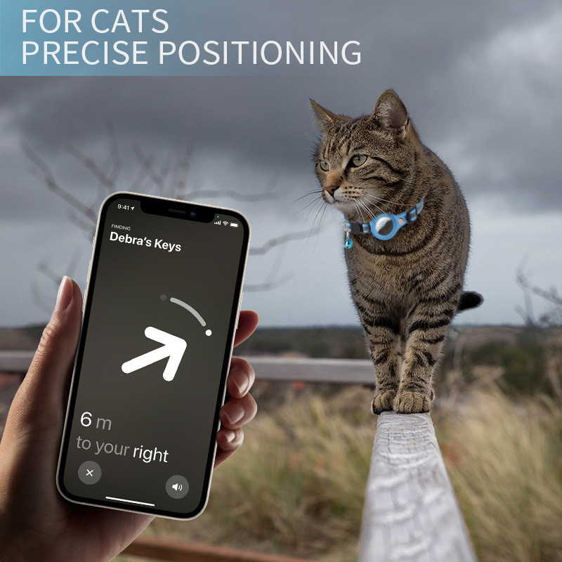 Collare per custodia Airtag pe - Pet Supplies Locations recensione e prezzo