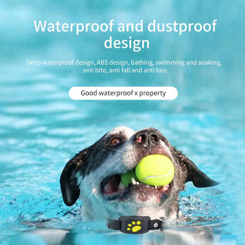 Localizzatore GPS per Animali  - Pet Supplies Locations recensione e prezzo