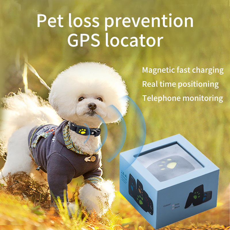 Localizzatore GPS per Animali  - Pet Supplies Locations recensione e prezzo