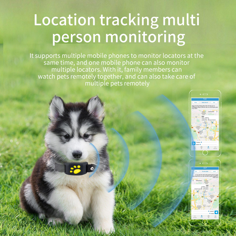 Localizzatore GPS per Animali  - Pet Supplies Locations recensione e prezzo