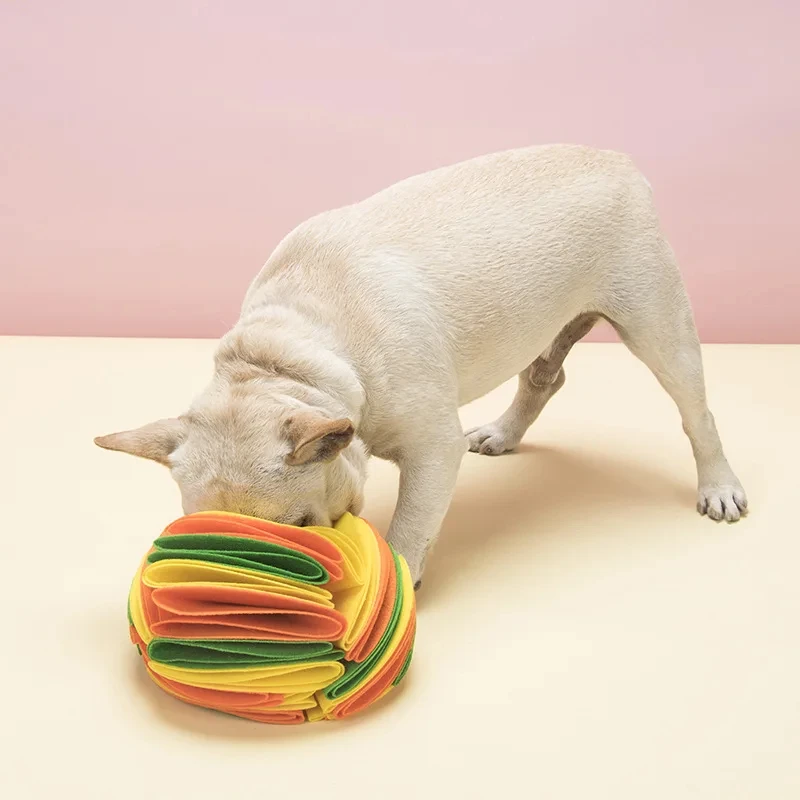 Cane Snuffle Ball Mat Sniffing - Cat Litter Mat recensione e prezzo