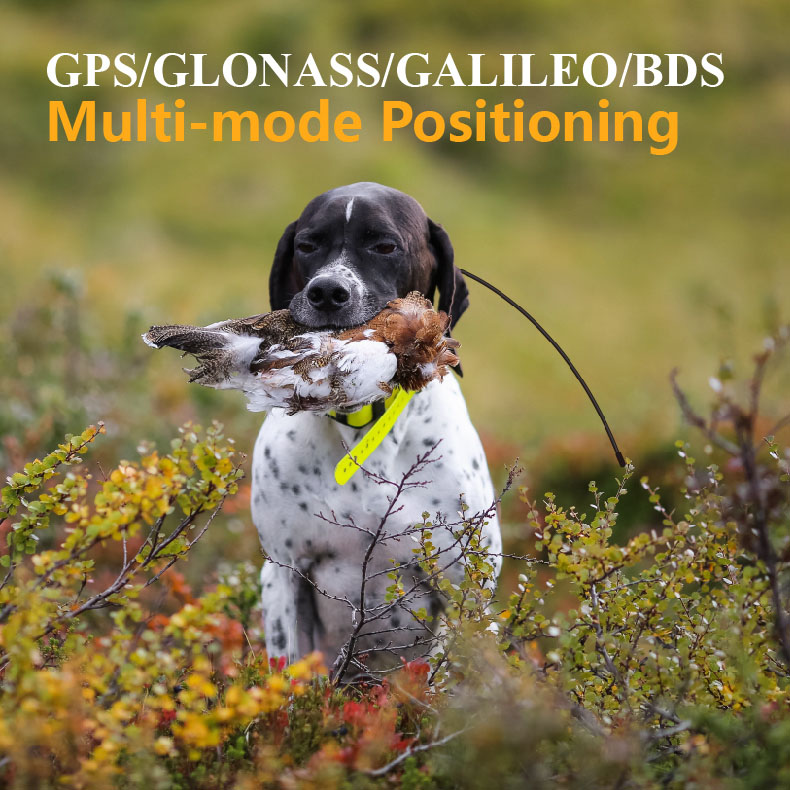 Localizzatore GPS Globale per  - Pet Supplies Locations recensione e prezzo
